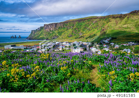 Beautiful town of Vik i Myrdal Iceland in summer. 49181585