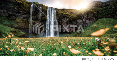 Magical Seljalandsfoss Waterfall in Iceland. 49181725