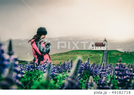 Traveler in Iceland. Church and Lupine Flowers. 49182718