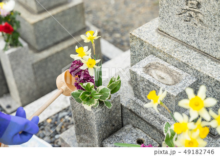 墓参り お花に水をやる 墓参り お花に水をやる 49182746