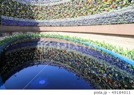 ラグーナテンボス 49184011