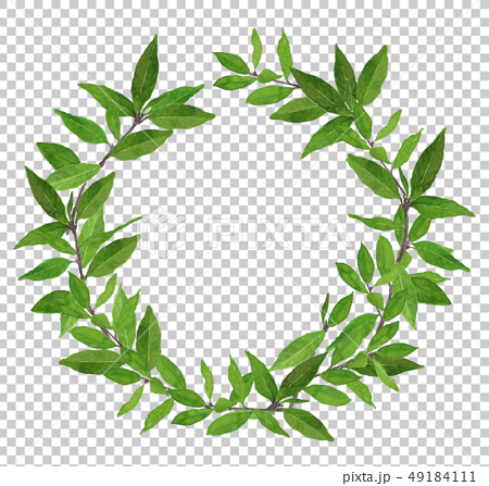 Laurel Wreath 月桂冠のイラスト素材