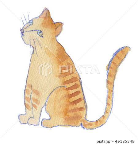 すわるとらねこ 横向き 水彩のイラスト素材