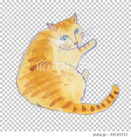 ねころんでふりむくとらねこ　水彩 49185551
