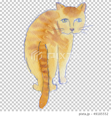 ふりむくとらねこ　水彩 49185552