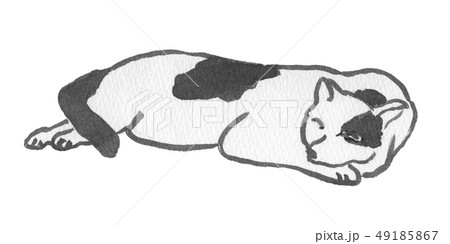 眠るぶちねこ　水彩 49185867
