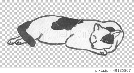 眠るぶちねこ　水彩 49185867