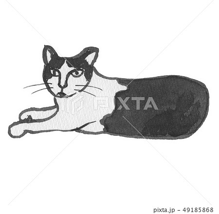 顔を上げるぶちねこ　水彩 49185868