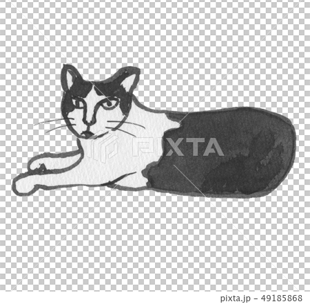 顔を上げるぶちねこ　水彩 49185868