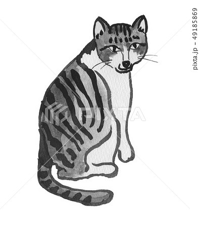ふりかえるとらねこ　水彩 49185869
