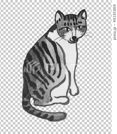 ふりかえるとらねこ　水彩 49185869