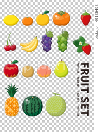 イメージイラスト 49186498