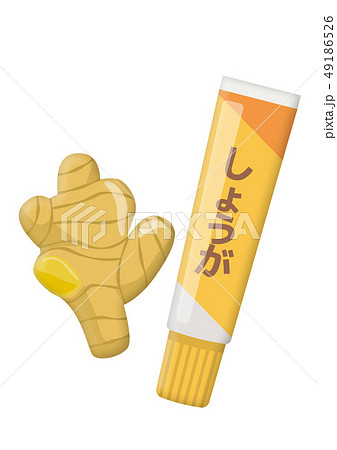 イメージイラスト 49186526