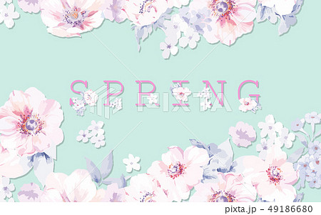 花 フラワー お花 49186680