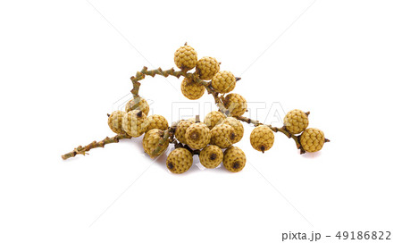 rattan fruit on white background 49186822