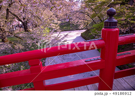 青森　弘前城の花筏　お濠に浮かんだ桜の花びら　赤い橋　下乗橋 49186912