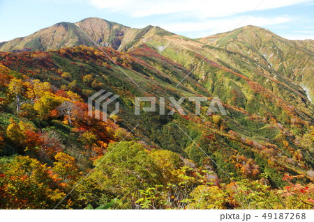 朝日連峰の秋 大朝日岳への道 紅葉 古寺山稜線からの眺望 朝日連峰の秋 大朝日岳への道 紅葉 古寺山稜線からの眺望 49187268