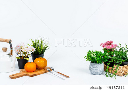 花 植木鉢 鉢 49187811