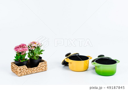 インテリア 装飾 小物 49187845