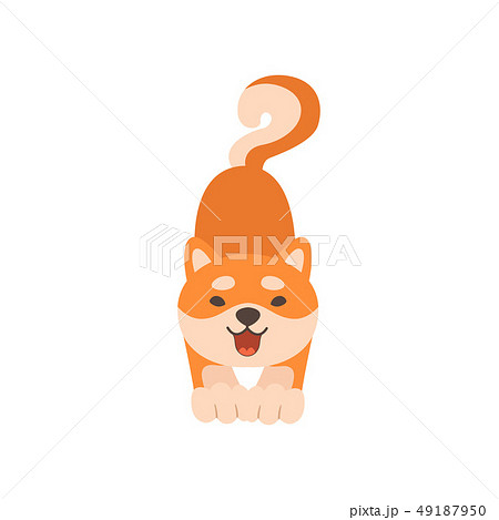 Friendly Shiba Inu Dog, Cute Funny Japan Pet Animal Cartoon Character Front View Vector Illustration 49187950