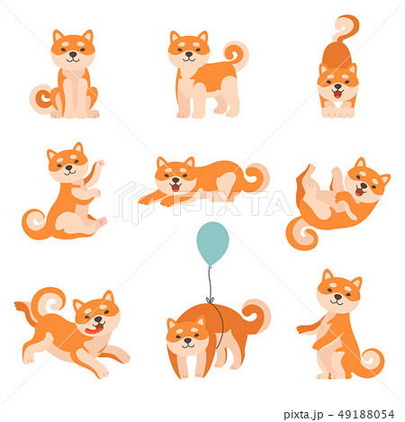 Shiba Inu Dogs Performing Everyday Activities Set, Adorable Japan Pets Animals Cartoon Characters Shiba Inu Dogs Performing Everyday Activities Set, Adorable Japan Pets Animals Cartoon Characters 49188054