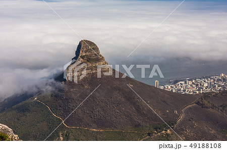 Panoramic view of Cape Town Panoramic view of Cape Town 49188108