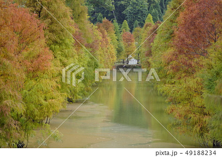 人々 人 人物 49188234