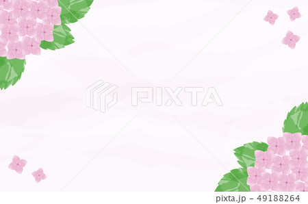 水彩 アジサイ 背景のイラスト素材