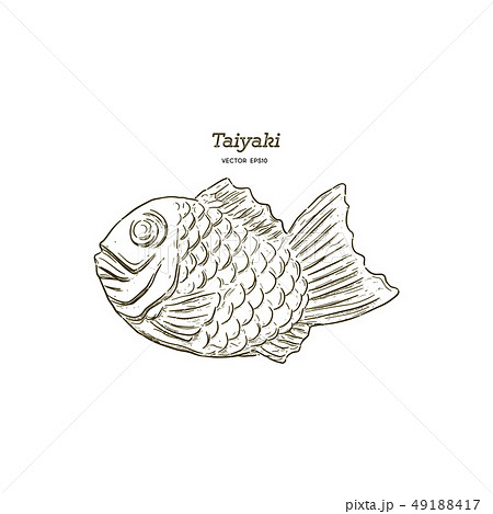 taiyaki , Japanese snack. Hand draw sketch vector. 49188417