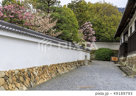 随心院 梅園 49189793