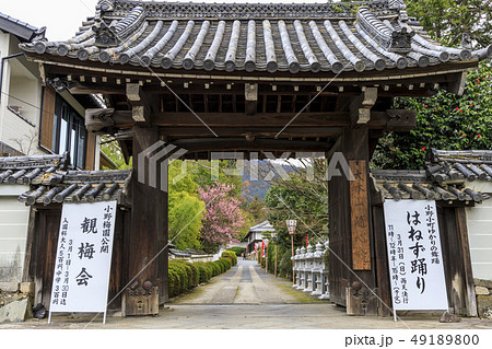 随心院 梅園 随心院 梅園 49189800