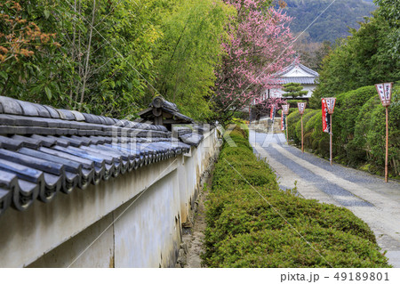 随心院 梅園 随心院 梅園 49189801