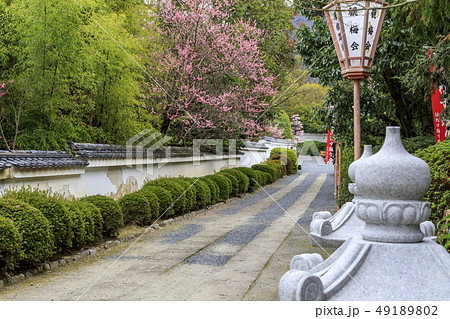 随心院 梅園 49189802