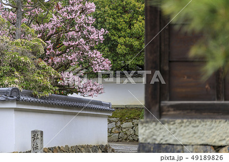 随心院 梅園 随心院 梅園 49189826