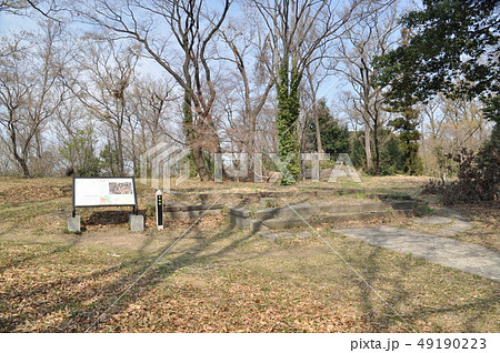 松山城（武蔵国）の本曲輪 49190223