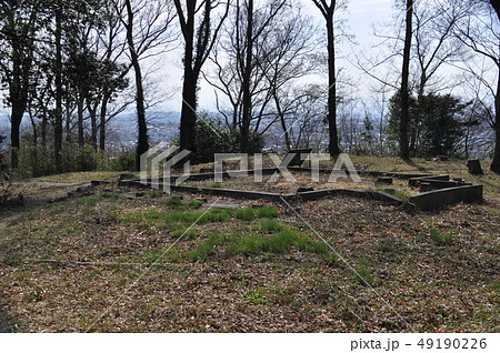 松山城(武蔵国)の本曲輪 松山城(武蔵国)の本曲輪 49190226