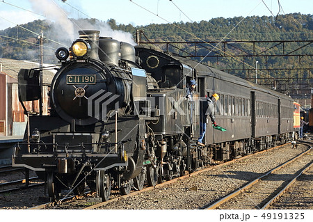 大井川鐡道 C11 190 大井川鐡道 C11 190 49191325