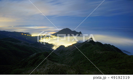 アブラギリ テンニンギク 蛍 49192319