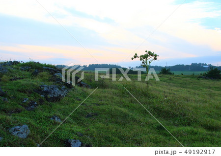 風景 観光 風 49192917