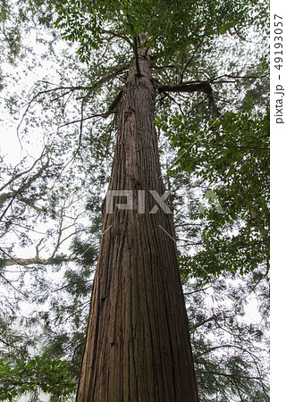 金持神社（鳥取県） 49193057