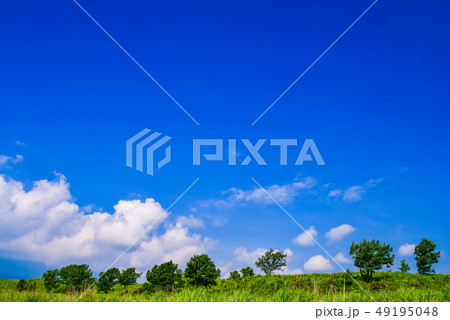 (山梨県)梨ヶ原の朝・夏のイメージ (山梨県)梨ヶ原の朝・夏のイメージ 49195048