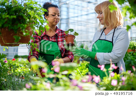 Two women working in a botanical garden 49195716