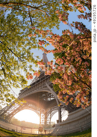 Eiffel Tower with spring trees in Paris, France 49195726
