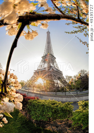Eiffel Tower during spring time in Paris, France 49195727