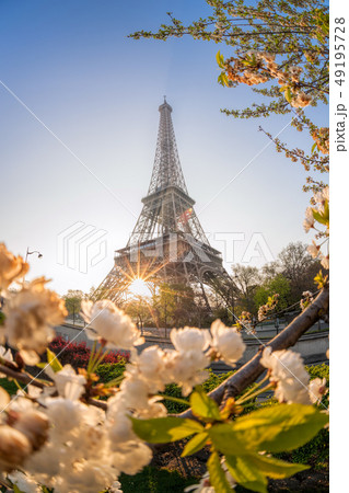 Eiffel Tower during spring time in Paris, France 49195728