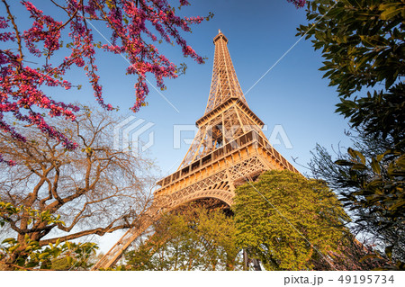 Eiffel Tower during spring time in Paris, France Eiffel Tower during spring time in Paris, France 49195734