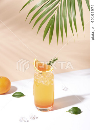 Cold and refreshing orange punch cocktail Cold and refreshing orange punch cocktail 49195974
