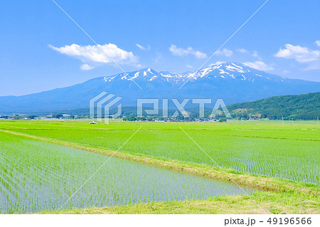 酒田市から望む初夏の鳥海山 酒田市から望む初夏の鳥海山 49196566