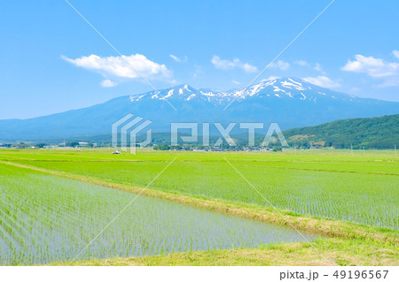 酒田市から望む初夏の鳥海山 49196567