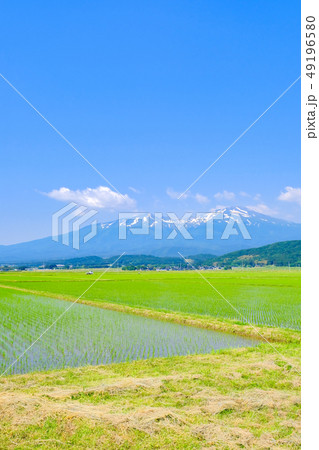 酒田市から望む初夏の鳥海山 酒田市から望む初夏の鳥海山 49196580